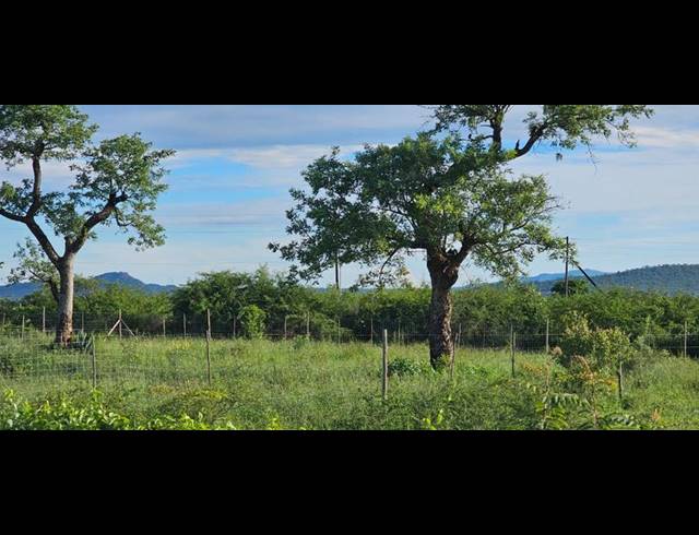 LAND FOR SALE IN TSWINGA